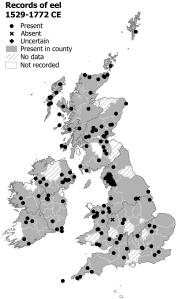 Eel records: there are eels recorded in every part of Britain and Ireland, they are very widespread, they are more common in the north and west of Britain than in lowland England