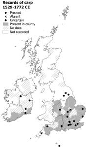 Map of Britain and Ireland showing where the carp species were recorded between 1519 and 1772. There are records from the South, South West and Midlands of England, and part of North England. There are also records from Munster and Leinster in Ireland. Some records show captive populations only, and the counties they are in have not been shaded.