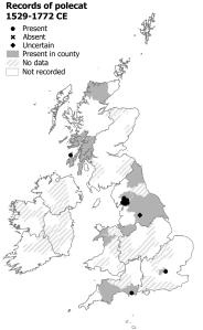 Polecat records, 519–1772. There are records from Wales, North England (with a cluster in the Lake District), the South and South West of England and Highland Scotland