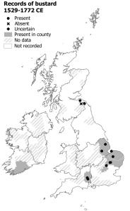 Map showing the historical distribution of the Great Bustard. From the years 1529-1772 there are records from the east of England (Lincolnshire, Norfolk, Suffolk, Cambridgeshire, Hertfordshire). Also Wiltshire, south east Scotland on the border and, surprisingly and perhaps not reliably, County Cork in Ireland